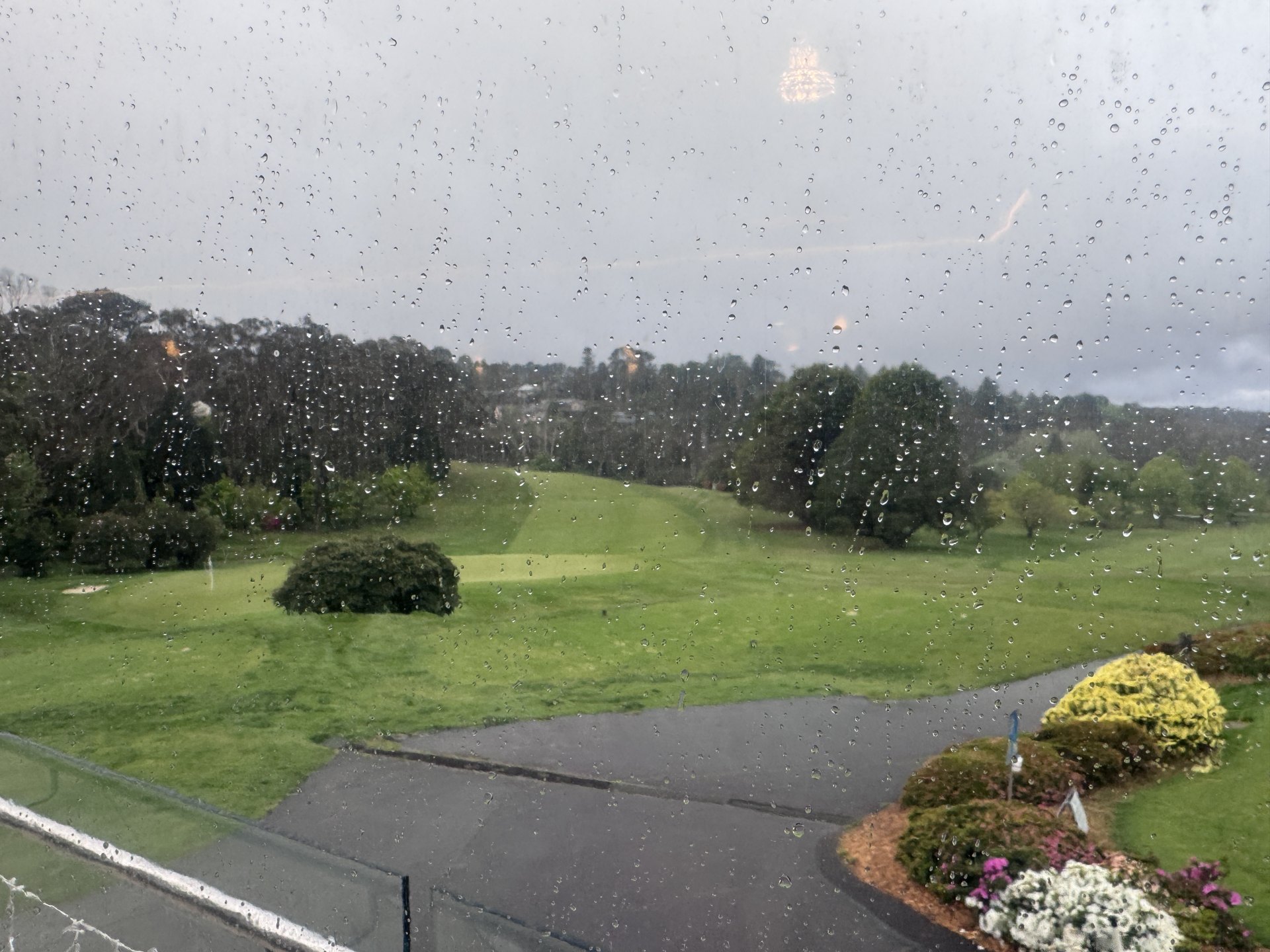 Bit of a wet Friday afternoon